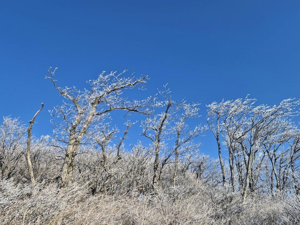 Comment soigner les maux de tête de manière naturelle